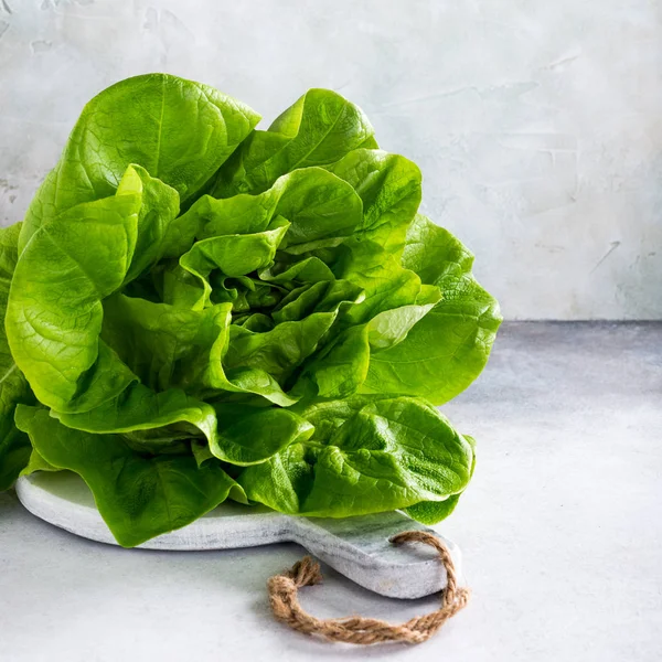 Taze organik marul salatası başkanı — Stok fotoğraf