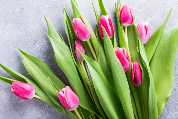 Bei tulipani rosa gialli — Foto Stock