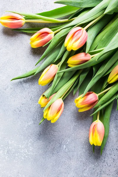 Piękne żółte tulipany pomarańczowy — Zdjęcie stockowe