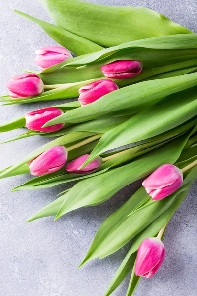 Mooi geel roze tulpen — Stockfoto