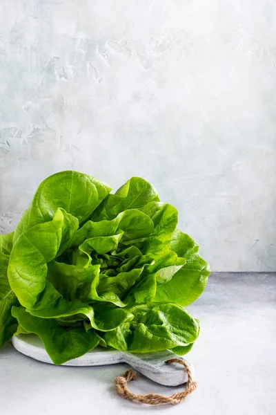 Taze organik marul salatası başkanı — Stok fotoğraf