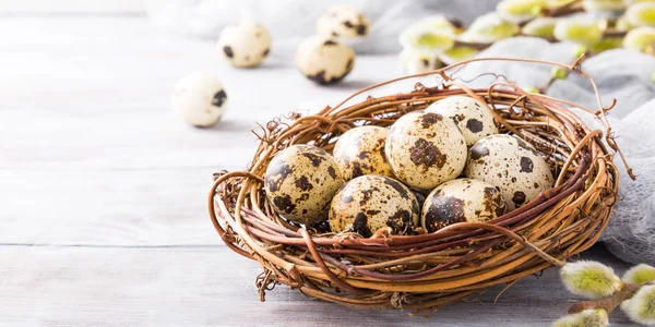 Wachteleier im Nest — Stockfoto