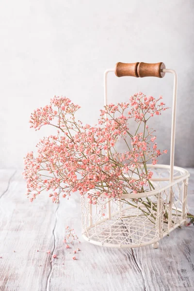 Ramo de Gypsophila rosa —  Fotos de Stock