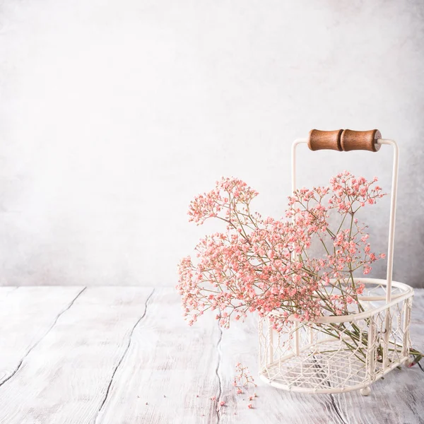 Bouquet de Gypsophila rose — Photo