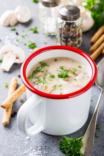 Homemade mushrooms champignons soup — Stock Photo, Image