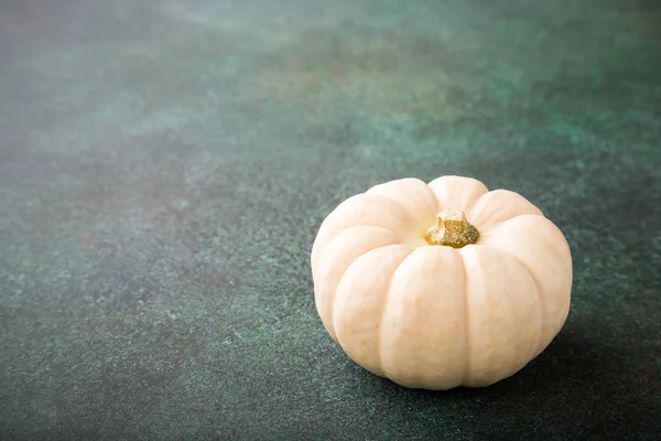 Şükran günü arka plan beyaz kabak ile