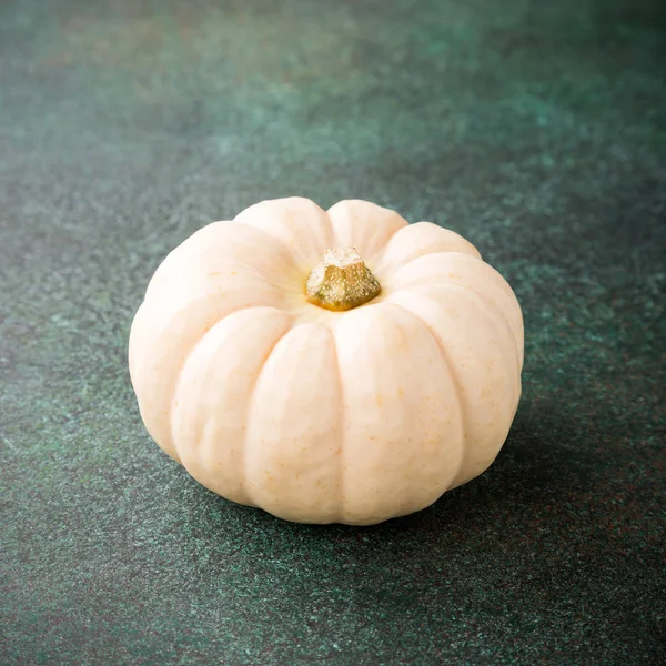 Şükran günü arka plan beyaz kabak ile