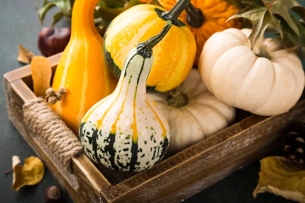 Autumn thanksgiving composition — Stock Photo, Image