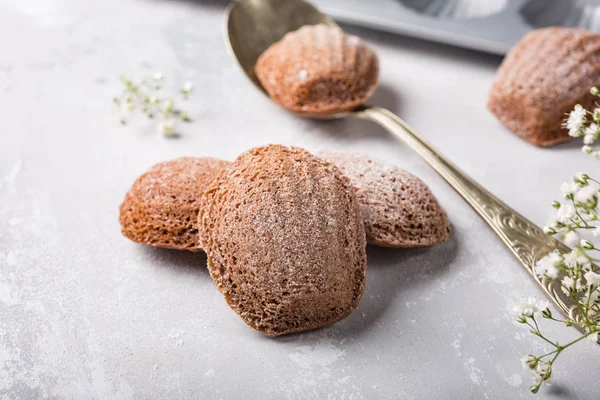 Biscoitos caseiros de chocolate Madeleine — Fotografia de Stock