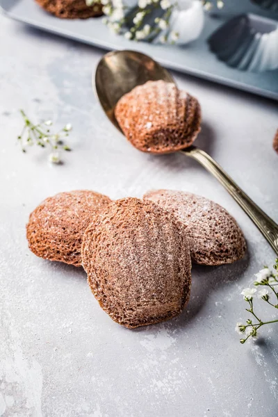 Biscoitos caseiros de chocolate Madeleine — Fotografia de Stock