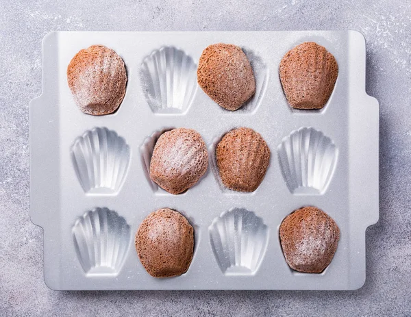 Homemade chocolate madeleine cookies — Stock Photo, Image