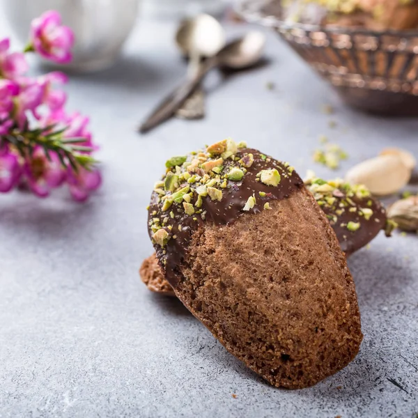 Biscoitos caseiros de chocolate Madeleine — Fotografia de Stock