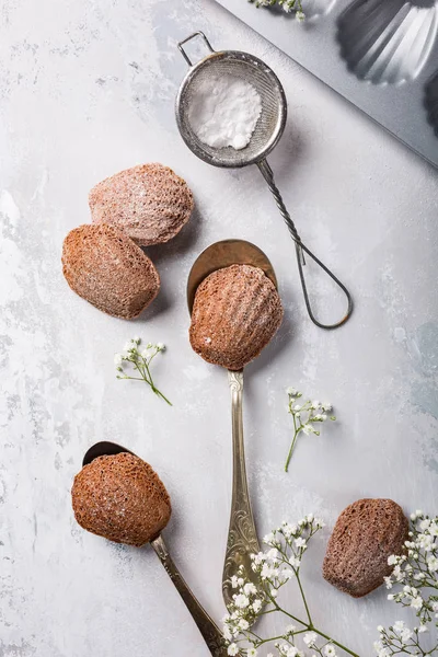 Biscoitos caseiros de chocolate Madeleine — Fotografia de Stock