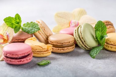 Fransızca macarons muhtelif