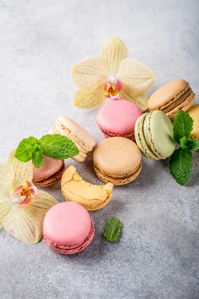 Fransızca macarons muhtelif