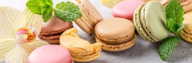 Fransızca macarons muhtelif