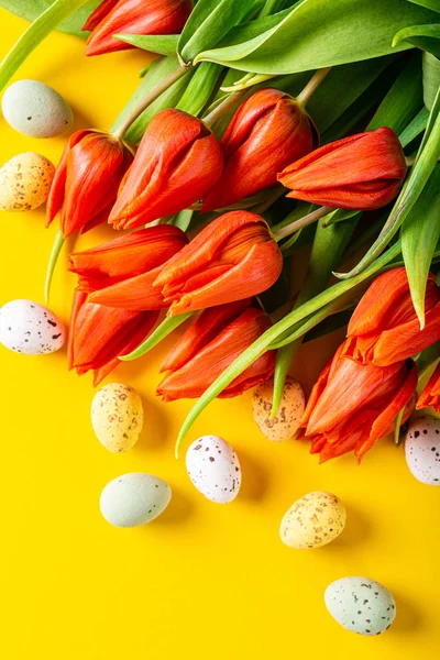 Narancs tulipán sárga háttér — Stock Fotó