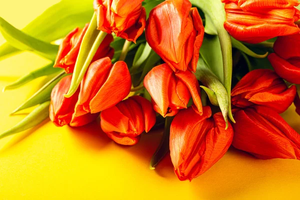 Pomarańczowe tulipany na żółtym tle — Zdjęcie stockowe