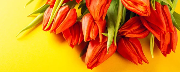 Помаранчеві тюльпани на жовтому тлі — стокове фото