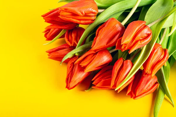 Oranje tulpen over gele achtergrond — Stockfoto