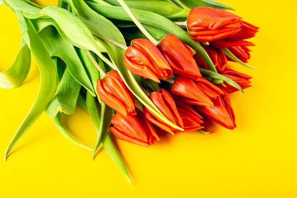 Pomarańczowe tulipany na żółtym tle — Zdjęcie stockowe