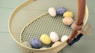 Paskalya renkli bıldırcın yumurtaları