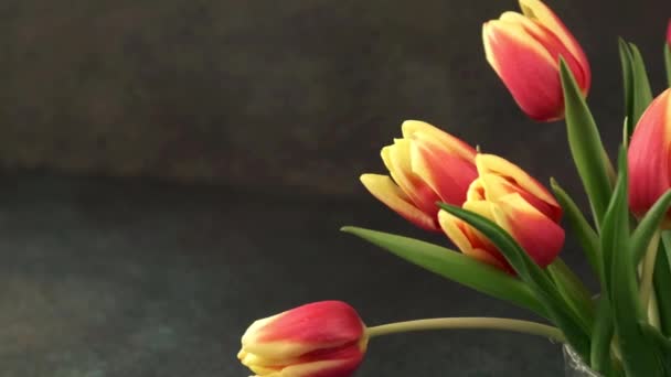 Belo buquê de tulipas amarelas vermelhas — Vídeo de Stock
