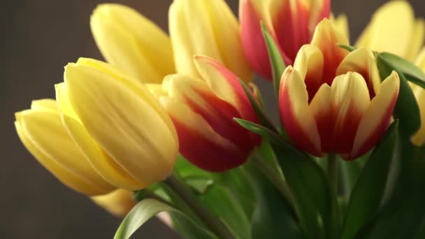 Beautiful bouquet of yellow tulips — Stock Video