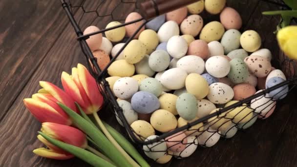 Easter colorful quail eggs — Stock Video