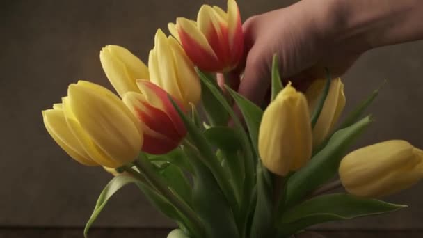 Belo buquê de tulipas amarelas vermelhas — Vídeo de Stock