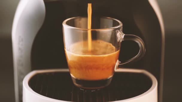 Café verser dans une tasse en verre de fantaisie — Video