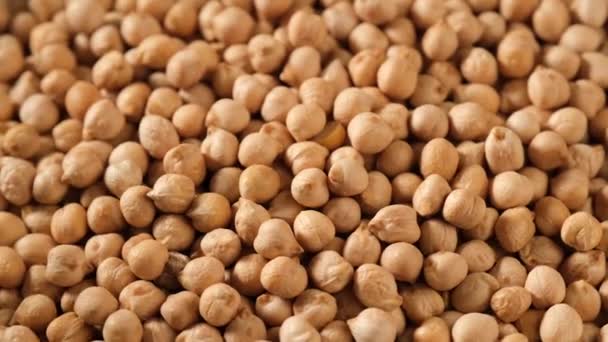 乾燥したひよこ豆の回転 — ストック動画