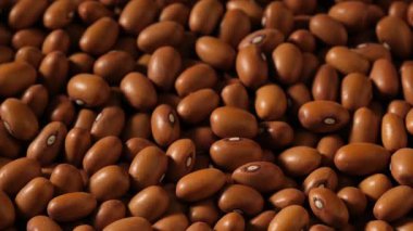 Kurutulmuş Böbrek Fasulyesi Kasede