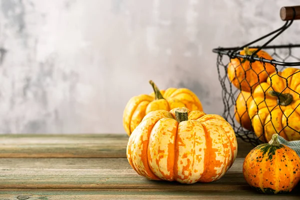 Autumn pumpkin thanksgiving background — Stock Photo, Image