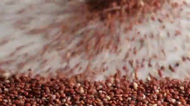 Cam kavanozda kırmızı çiğ kinoa.