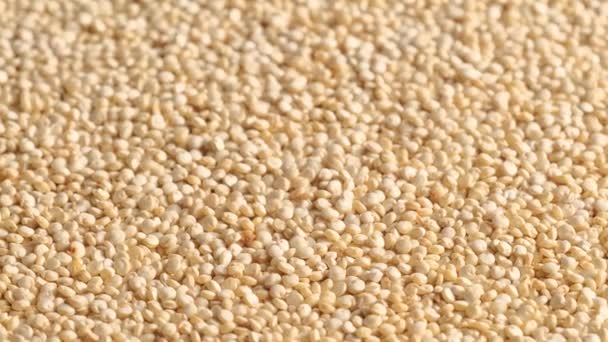 Witte, rauwe quinoa, draaiend — Stockvideo