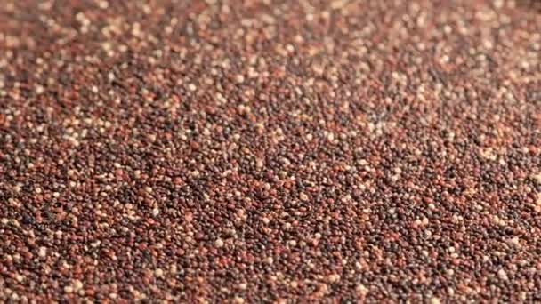 Schwarze rohe Quinoa rotiert — Stockvideo