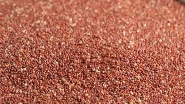 Kırmızı ham kinoa dönüyor