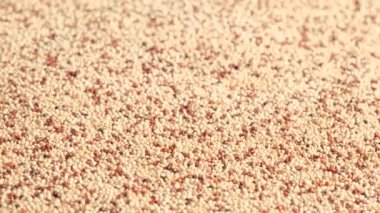 Beyaz ham kinoa dönüyor