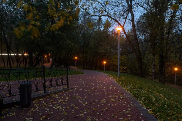 Street lights in the park — Stock Photo, Image