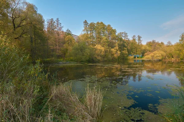 Vijver in het land — Stockfoto