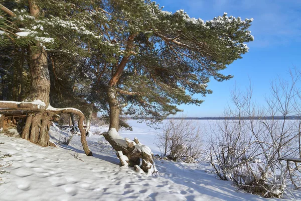 Lago Vselug no inverno — Fotografia de Stock