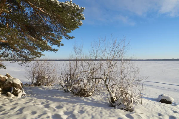 Vselug sjö på vintern — Stockfoto