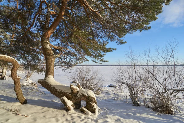 Vselugské jezero v zimě — Stock fotografie