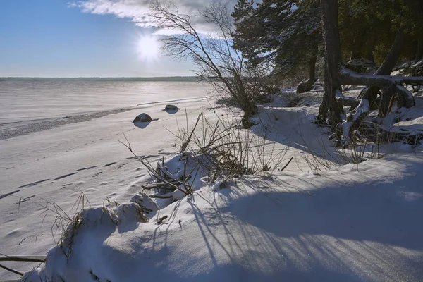 Winter beach of Vselug lake — ストック写真