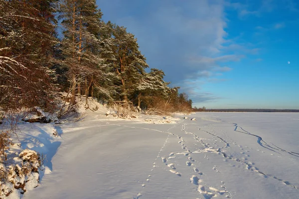 Bela vista de inverno — Fotografia de Stock