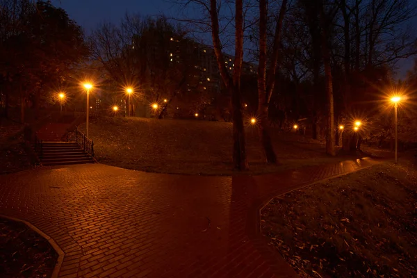 Nacht in het park — Stockfoto