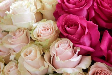 Bir demet pembe gül