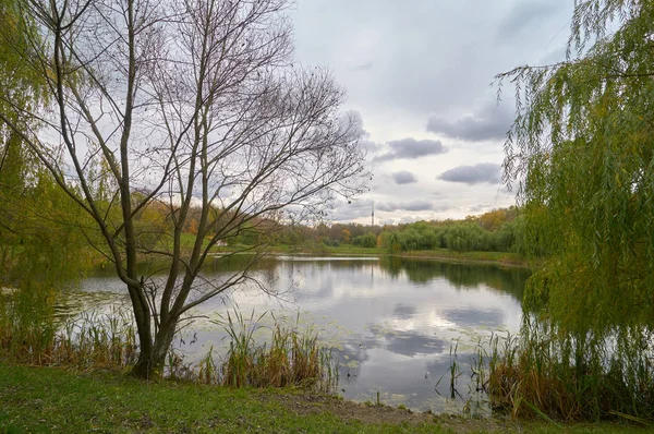 Podzimní pohled na rybník — Stock fotografie