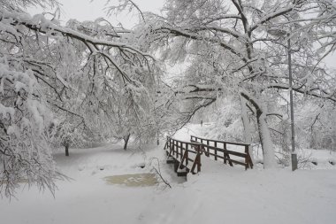 Moskova'da yoğun kar yağışı